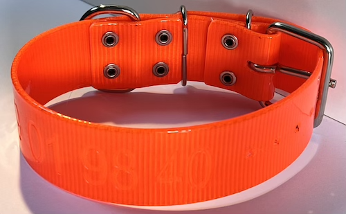 Collier ORANGE FLUO 38mm pour mouton, brebis et chèvre